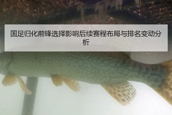 国足归化前锋选择影响后续赛程布局与排名变动分析